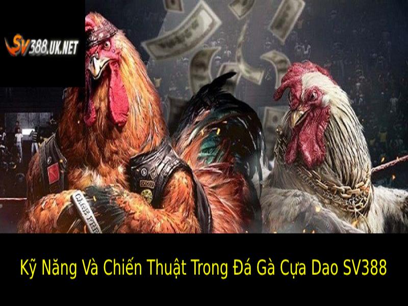 Các kỹ năng và chiến thuật cơ bản trong Đá gà cựa dao SV388