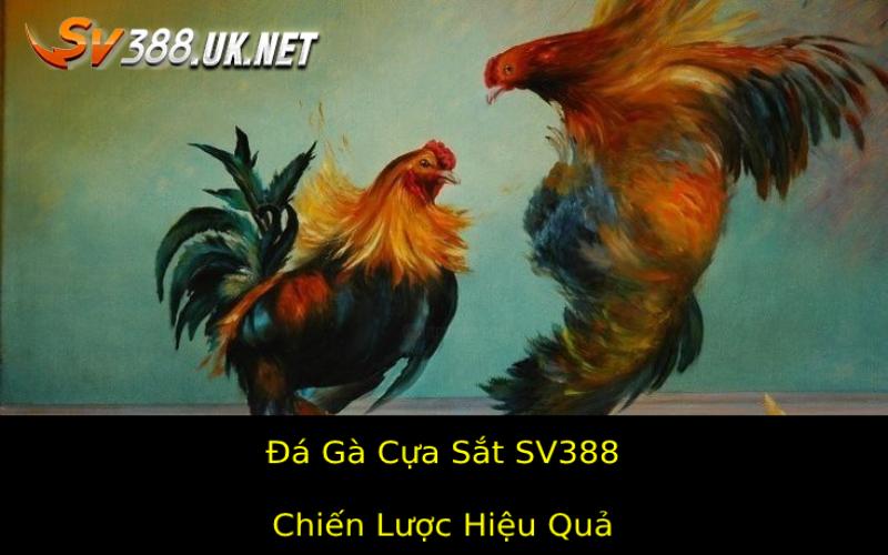 Chiến Lược Hiệu Quả Dùng Cá Cược Đá Gà Cựa Sắt Sv388