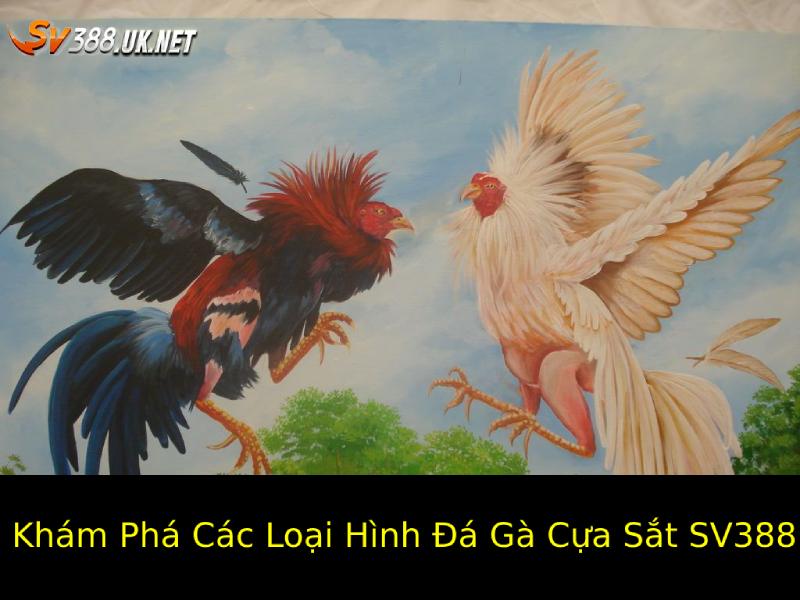 Khám Phá Các Loại Hình Đá Gà Cựa Sắt Phổ Biến Trên SV388