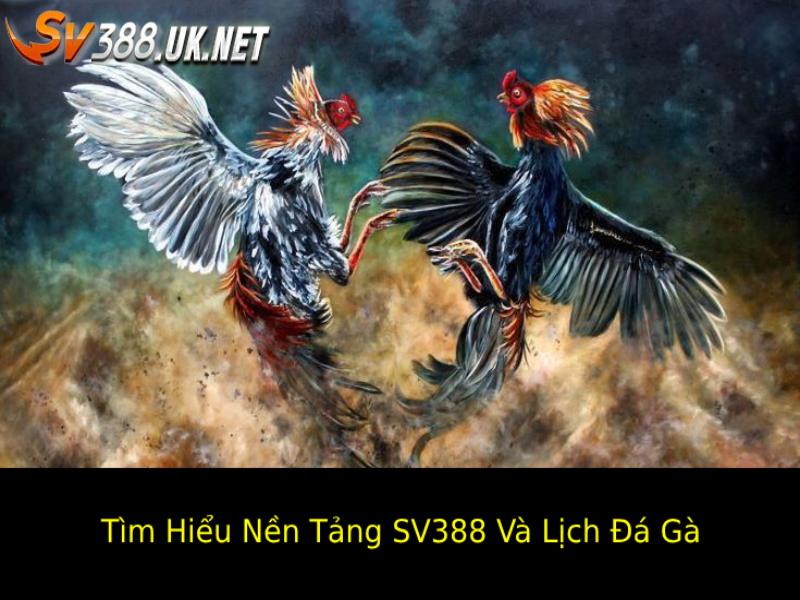 Tìm Hiểu Sâu Về Nền Tảng SV388 và Lịch Đá Gà