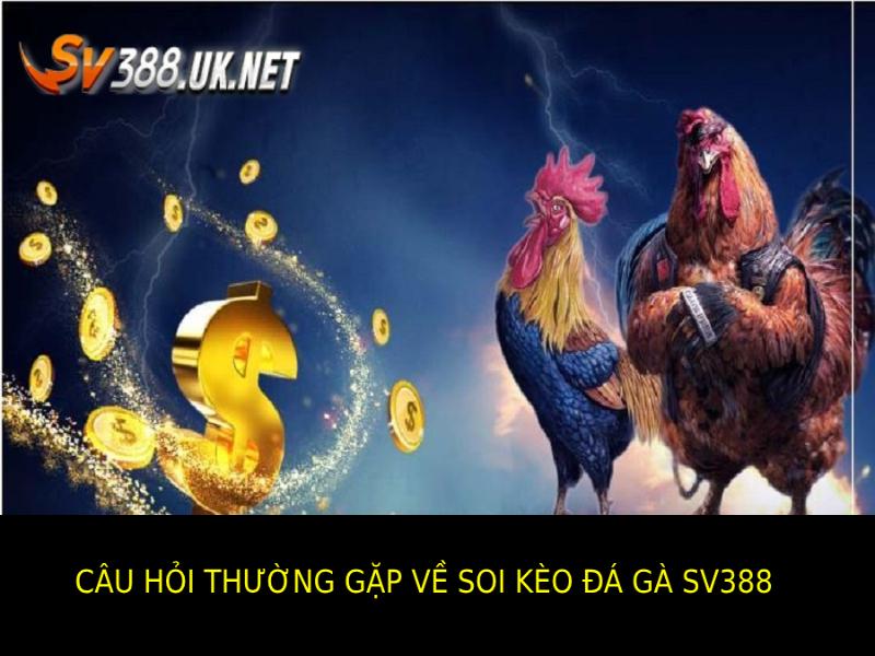 Câu Hỏi Thường Gặp (FAQs) Liên Quan Soi Kèo Đá Gà SV388