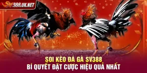 Soi Kèo Đá Gà SV388 – Bí Quyết Đặt Cược Hiệu Quả Nhất