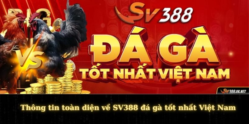 Thông tin toàn diện về SV388 đá gà tốt nhất Việt Nam