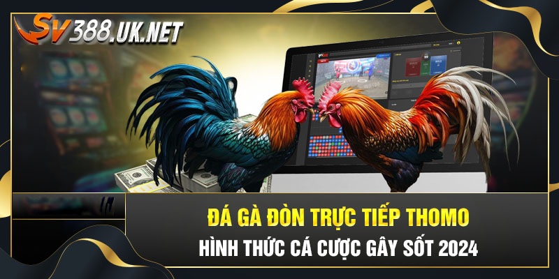 Trực Tiếp Đá Gà Đòn Thomo Các Trận Máu Lửa Chuyên Nghiệp Nhất